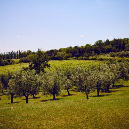 Giardino esterno